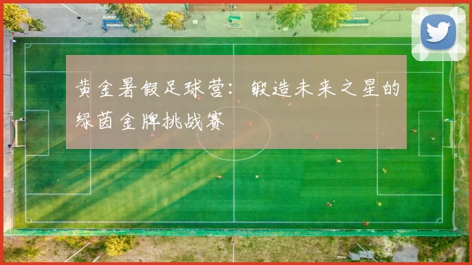 黄金暑假足球营：锻造未来之星的绿茵金牌挑战赛