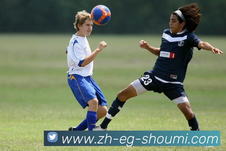 收米体育直播平台生态图